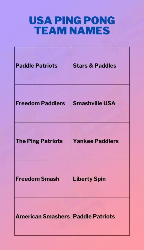 USA Ping Pong Team Names